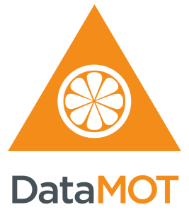 DataMOT your data cleanse solution